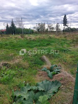? доли на земельный участок, кад.номер 53:20:0805201:22, вид разрешенного...