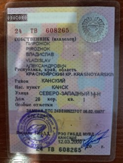 Пирожок Владислав Александрович  Лот №1