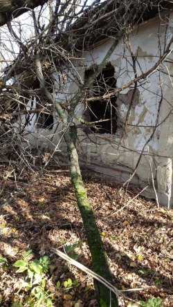 Дом 40,4 кв.м. и земельный участок 3900 кв.м. в Курской обл. 