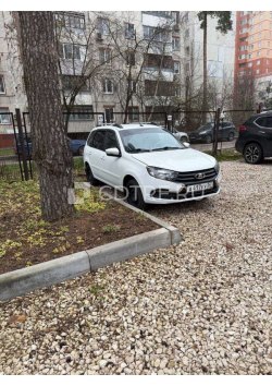 Глумаков Роман Андреевич, Лот № 1