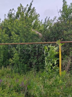 1/3 доля дома и 1/3 доля земельного участка в Воронежской обл. 