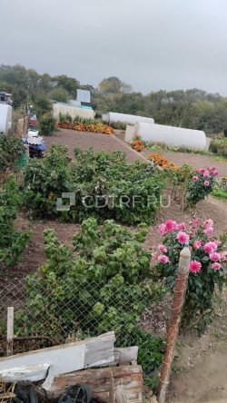 Земельный участок, Кадастровый номер 50:34:0050209:1268, Площадь 475, Вид права, доля...