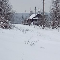 Земельный участок, площадью 5000 кв.м., адрес (местонахождение): Россия, Респ Удмуртская, р-н…