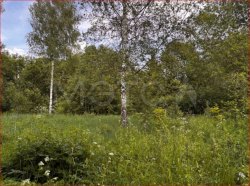 Земельный участок в Московской обл., 1500 кв.м. 