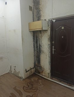 Помещение нежилое с кадастровым номером 66:59:0101019:5812 по адресу г. Полевской, ул. Микрорайон…