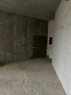 Жилое помещение (квартира), площадь 129,4 кв. м, этаж № 4, кадастровый номер: 50:04:0010502:1077…