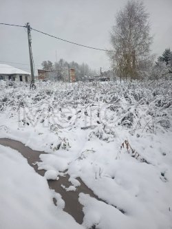 Земельный участок в Новосибирской обл., 1500 кв.м. 