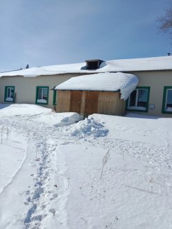 Квартира (адрес: Томская обл., Бакчарский р-н, с.Бакчар, ул.Кузнецова, 2г, кв.6, Лот №1