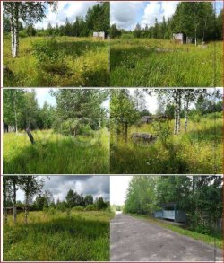 Земельный участок в Новгородской обл., 1000 кв.м. 