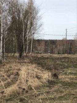 Земельный участок, общей площадью 18 872 кв. м, расположенный по адресу: Московская обл, Серебряные…