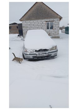 Автомобиль марки NISSAN модель санни 2000 г.в. номер кузова FB15106274 предмет залога ПАО Совкомбанк