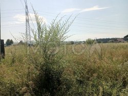 Земельный участок в Красноярском крае, 1125 кв.м. 