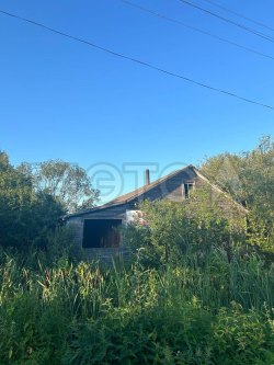 Дом 50,4 кв.м. и земельный участок 3900 кв.м. в Новгородской обл. 