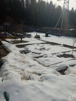 земельный участок (сад) в СНТ Сад Кедр