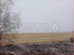 1/12 доля земельного участка в Курганской обл. 