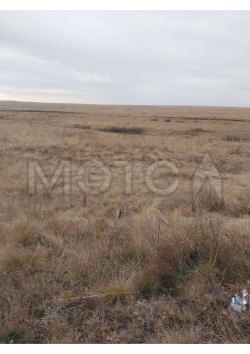 1/6 доля земельного участка в Оренбургской обл. 