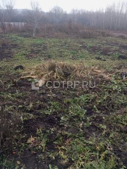 Земельный участок, площадь 3243+/-40 кв.м. Лот №1