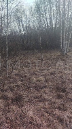 Право аренды земельного участка во Владимирской обл., 1205+/-12 кв.м. 