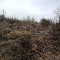 Земельный участок в Волгоградской обл., 600 кв.м. 
