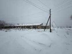 Телятник в Брянской области, 1450 кв.м. 