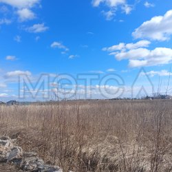 Земельный участок в Новгородской области, 1500 кв.м. 