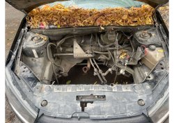 Транспортное средство (автомобиль)