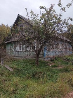 Дом 56,1 кв.м. и земельный участок 3000 кв.м. в Новгородской обл. 