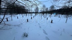 Земельный участок в Ленинградской обл., 1239 кв.м. 