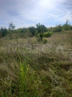 Земельный участок в Хакасии, 1500 кв.м. 