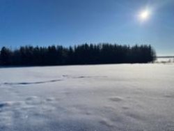 Земельный участок площадью 4 000 кв. м