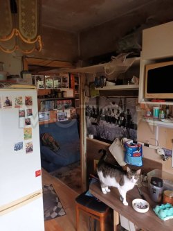 Квартира в Санкт-Петербурге (Сестрорецк), 31,3 кв.м, 1 комн. 