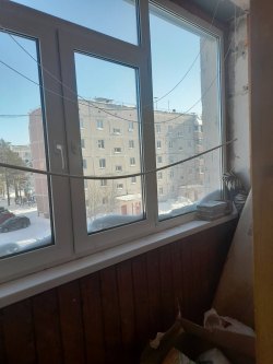 жилое помещение (квартира)