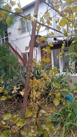 Дом 282,6 кв.м, здание 48,9 кв.м. и земельный участок 525 +/-1 кв.м. в Севастополе 