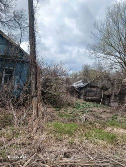 Дом 64,6 кв.м. и земельный участок 3424+/-62.6 кв.м. в Брянской обл. 