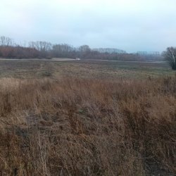 Дом 56,8 кв.м. и земельный участок 2971 кв.м. в Оренбургской обл. 