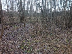 Земельный участок в Московской обл., 564+/-8 кв.м. 