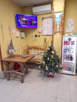 Комплект стол со скамьей (декоративные из дерева) 
