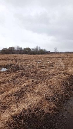 Земельный участок в Московской обл., 735 кв.м. 
