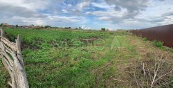 Земельный участок в Челябинской обл., 800 кв.м. 