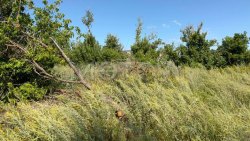 Земельный участок в Воронежской обл., 4701 кв.м. 
