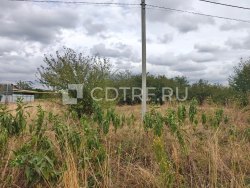 Лавоев Эрик Батырбегович (А61-5382/2024) Лот №1