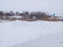 1/2 доля земельного участка в Алтайском крае 