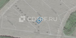 Земельный участок в Воронежской обл. в границах СХА им. Октябрьской революции