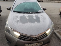 транспортное средство: Toyota Corolla , Идентификационный номер (VIN номер): NMTBT4JE10R000568, Год…
