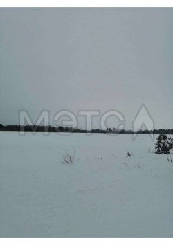 1/18 доля земельного участка в Курганской обл. 