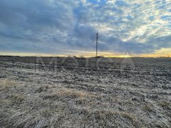 1/4 доля земельного участка в Курганской обл. 