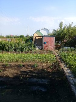 Дом 30 кв. м и земельный участок 402 кв.м в Ульяновской обл. 