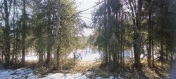 Земельный участок в Новгородской обл., 10000 кв.м. 