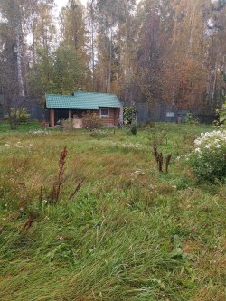 жилые помещения и земельные участки