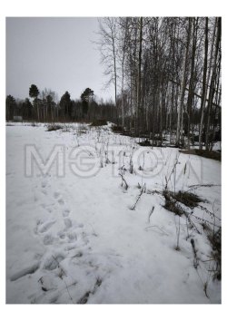 Земельный участок в Мегионе, 600+/-9 кв.м. 